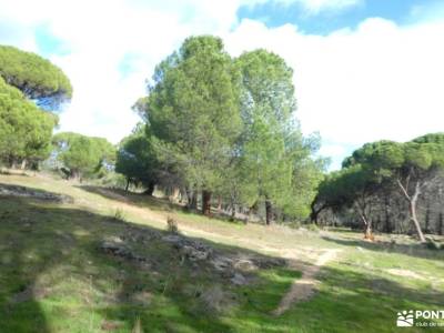 Miradores y Riscos de Valdemaqueda;excursiones fin de semana desde madrid fotos de monfrague madrid 